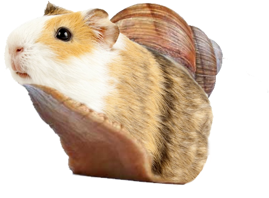 Guinea Pig Shell Hybrid Creature PNG