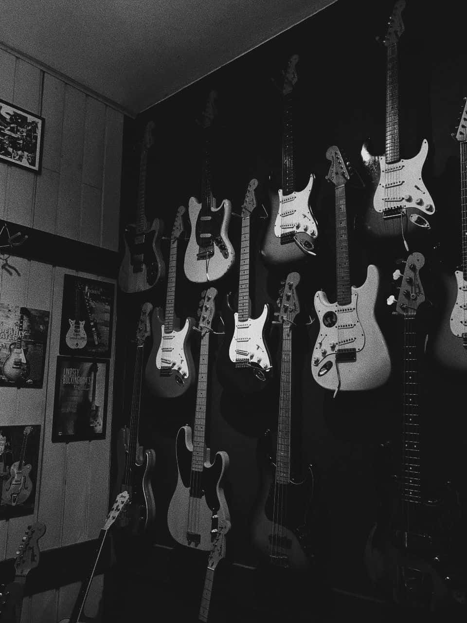 Guitar Collectionin Monochrome Wallpaper