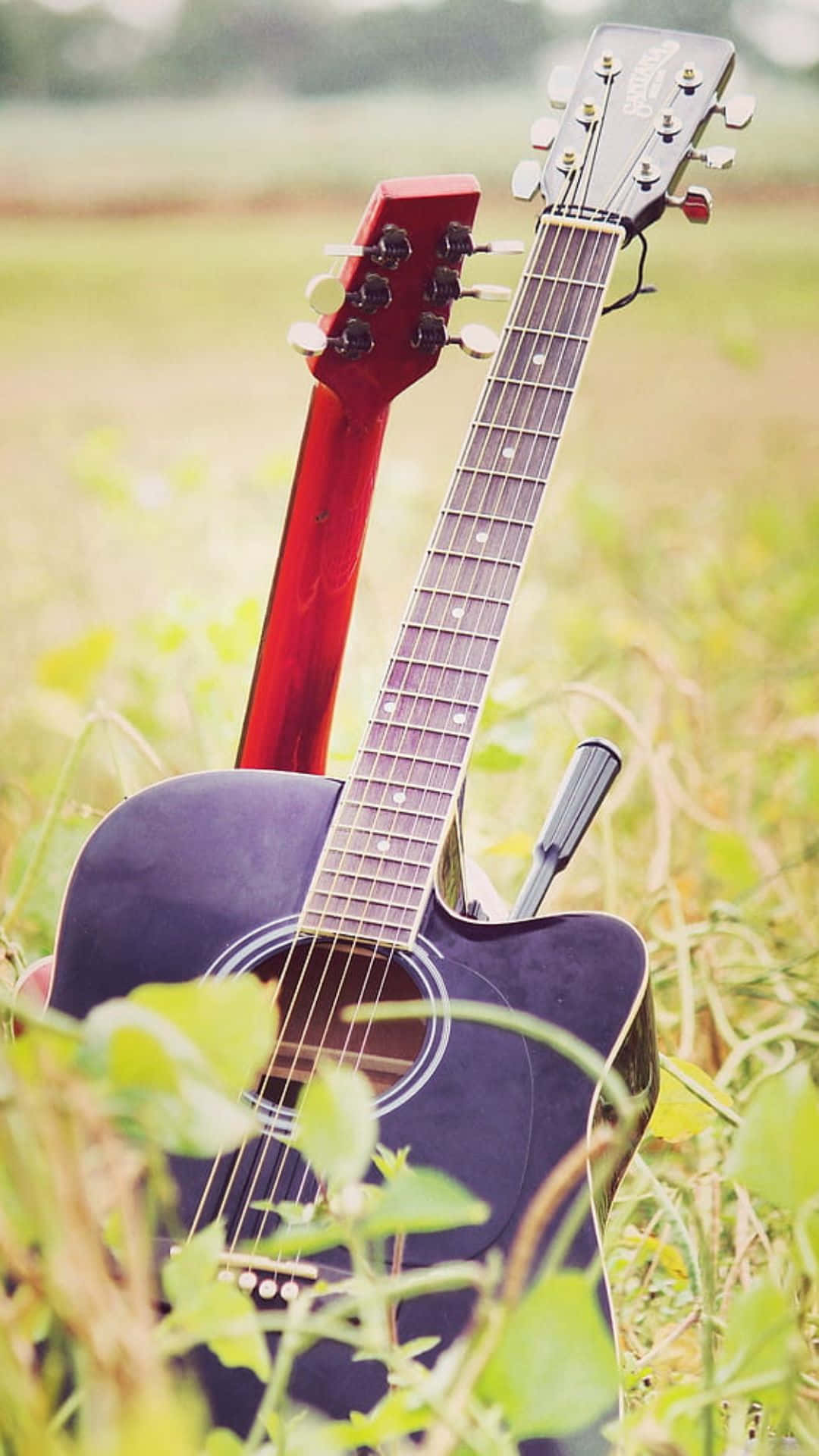 Melody in Nature: An Acoustic Guitar in an Emerald Field Wallpaper
