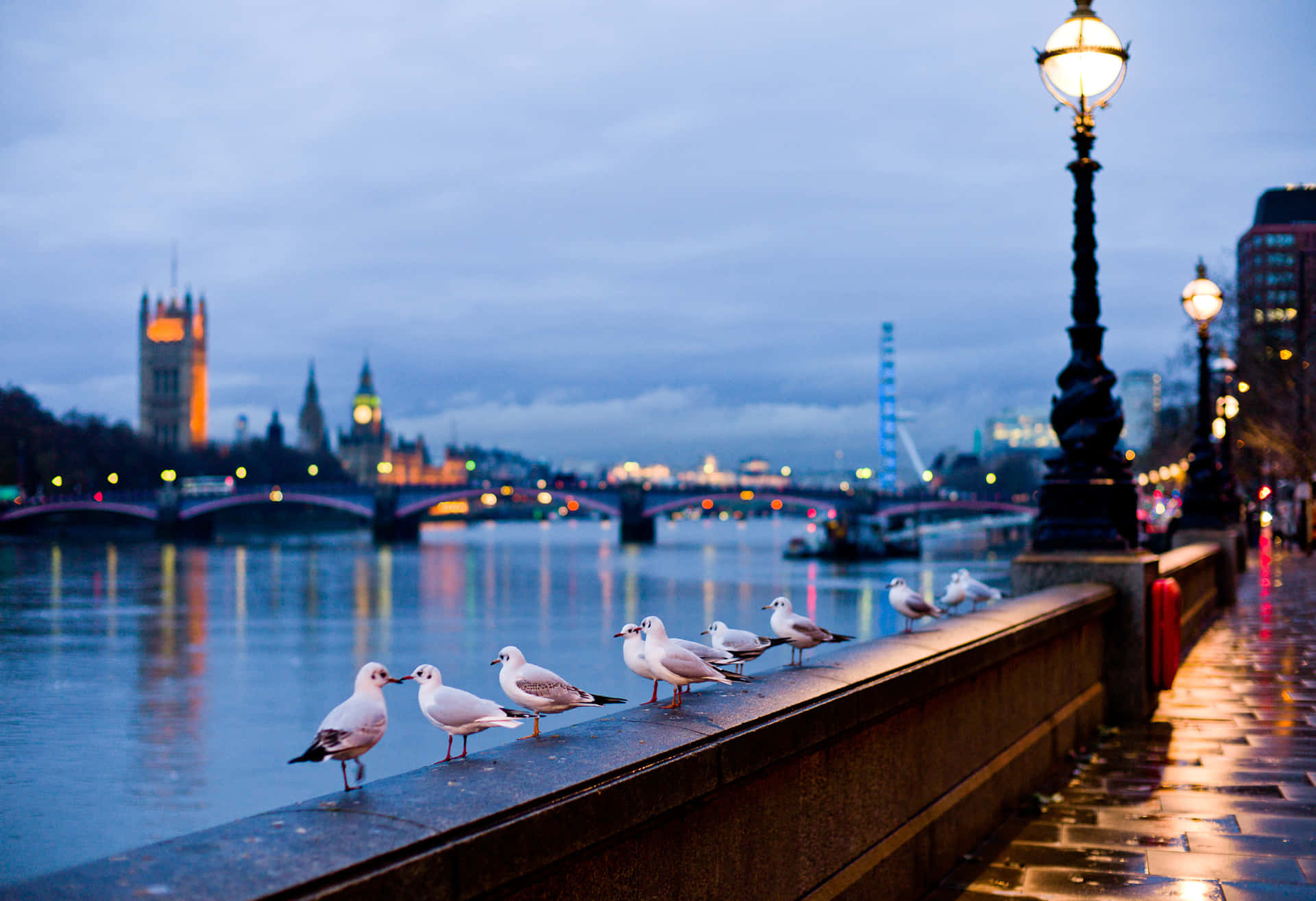 Gullson Thames Riverbankat Dusk Wallpaper