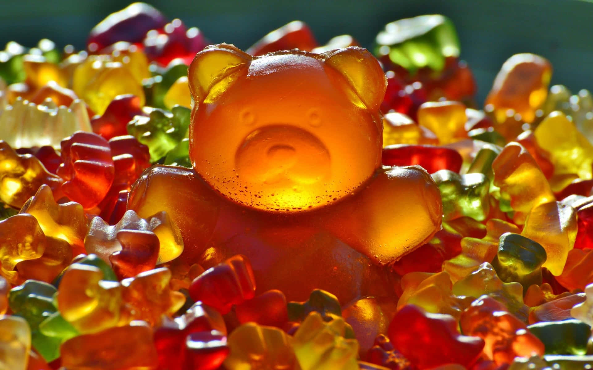 Gummy Bear Sunlit Candy Collection.jpg Wallpaper