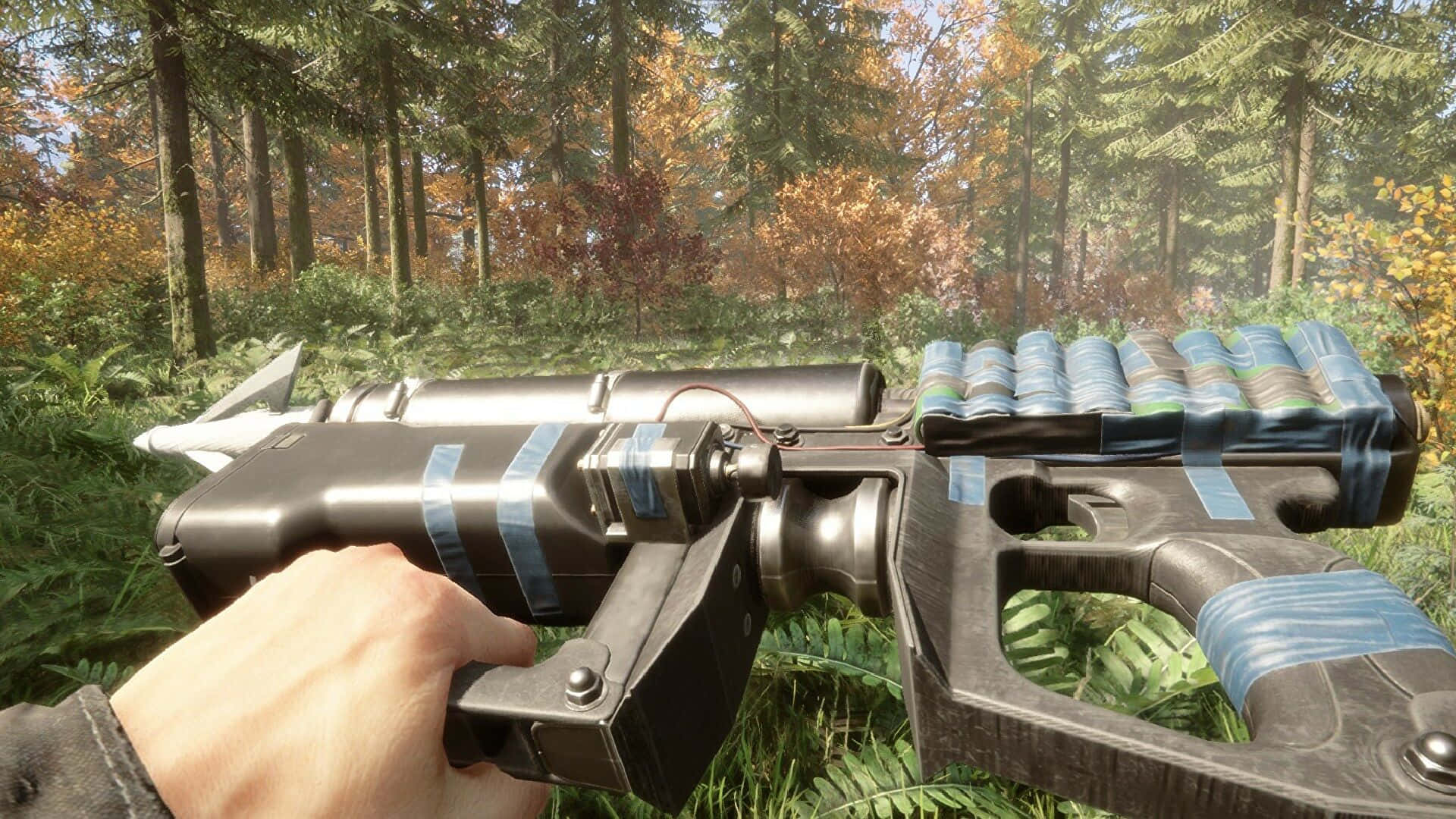 A Hand Holding A Gun In The Woods