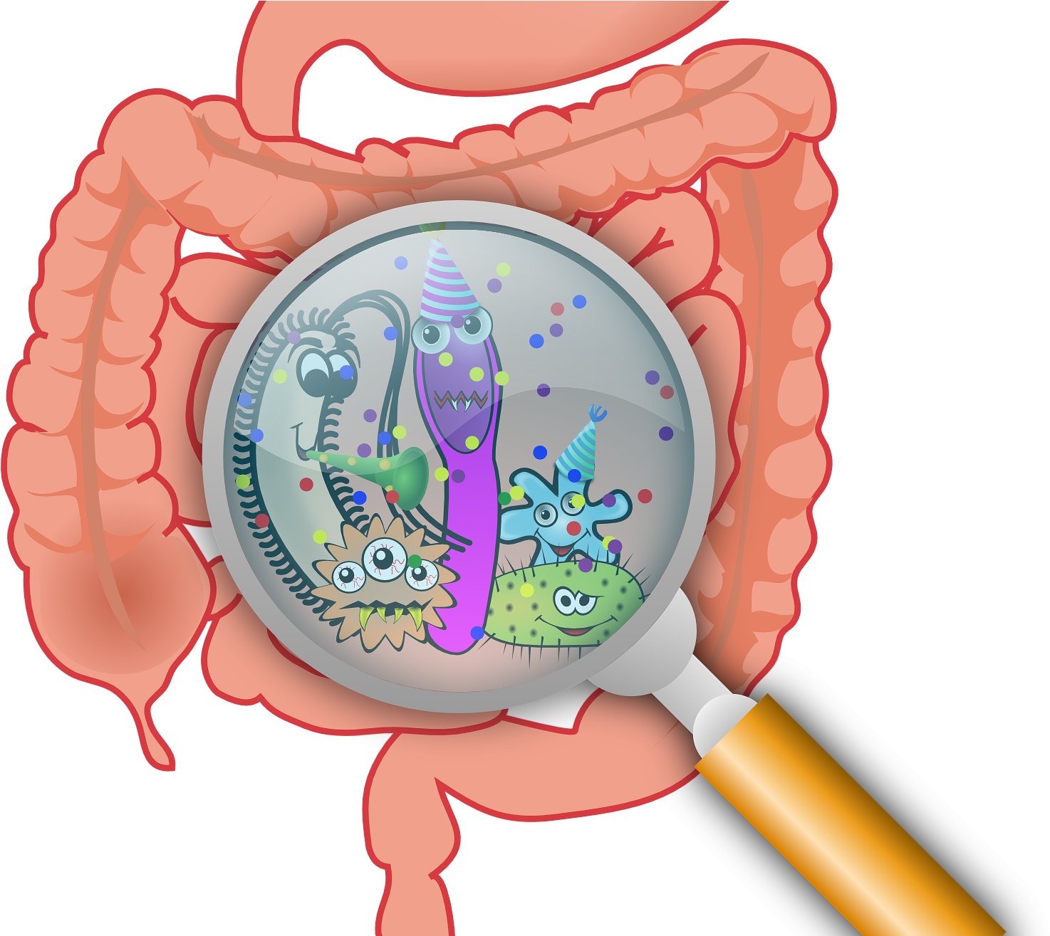 Gut Bacteria Cartoon Magnified PNG