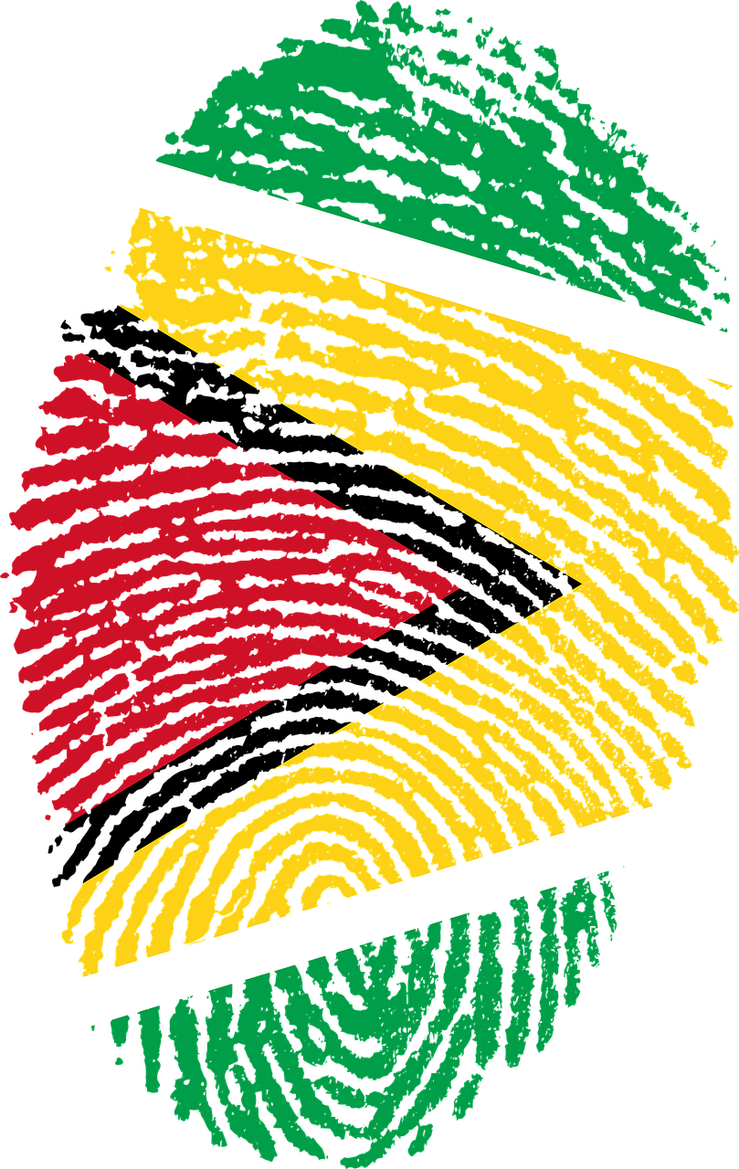 Guyana Flag Fingerprint Art PNG