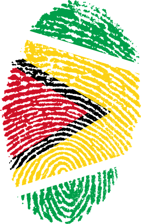 Guyana Flag Fingerprint Art PNG