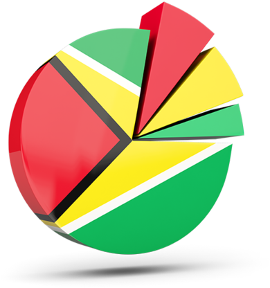 Guyana Flag Pie Chart3 D Render PNG