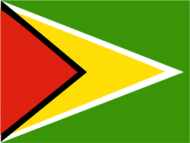 Guyana National Flag PNG