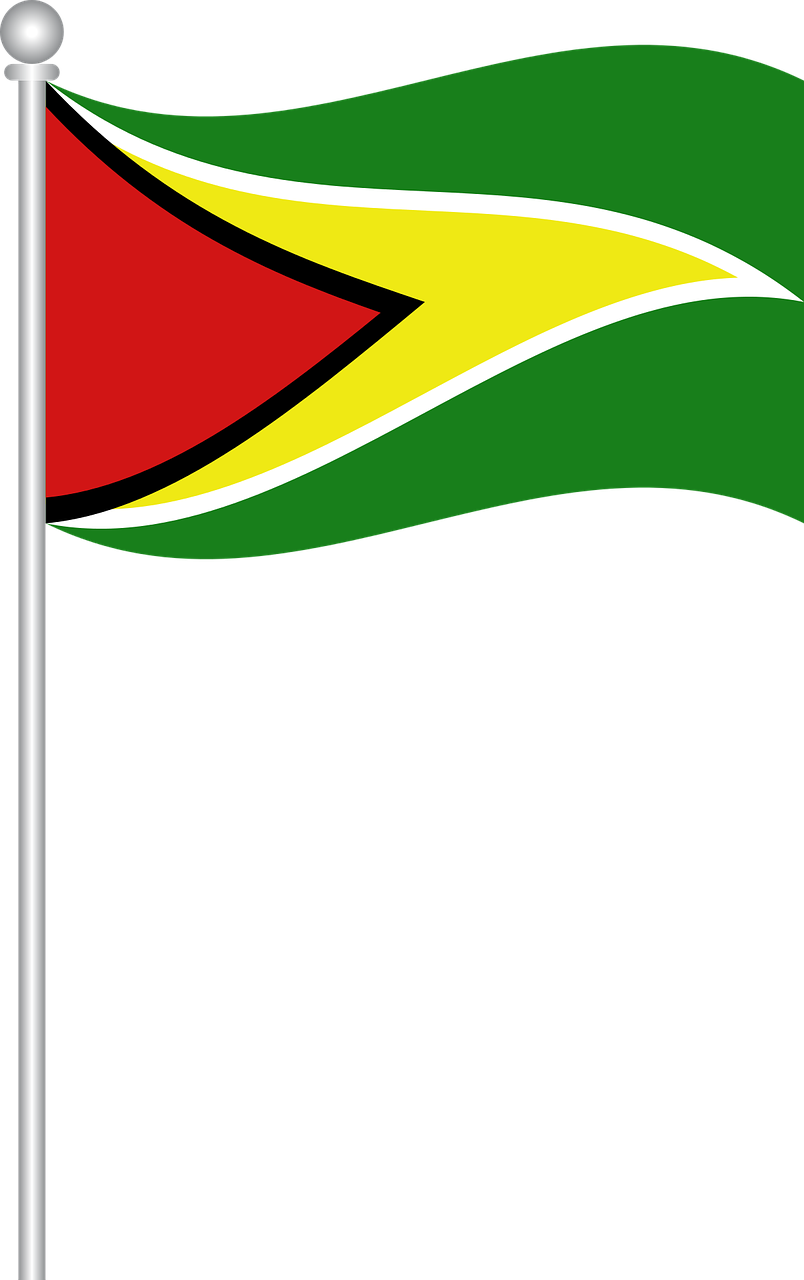 Guyana National Flag Waving PNG
