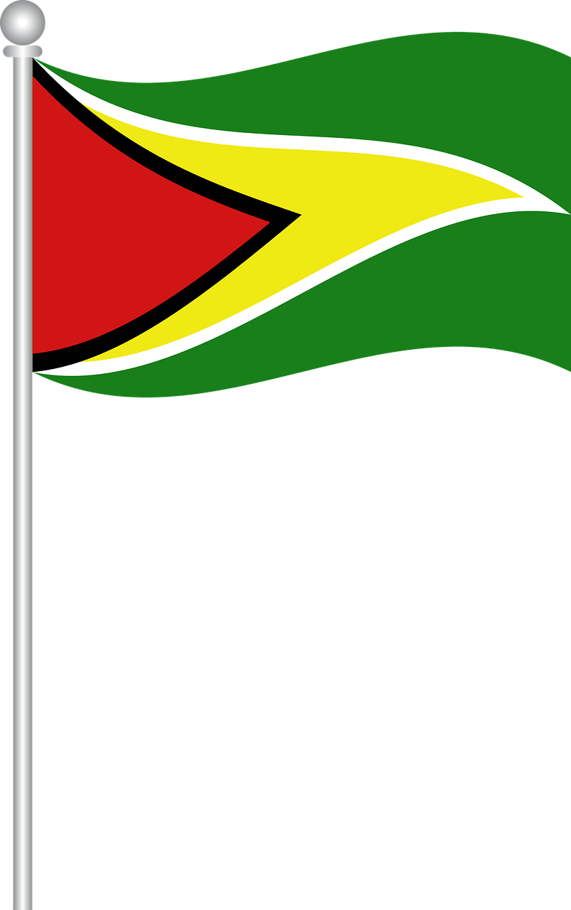 Download Guyana National Flag Waving | Wallpapers.com