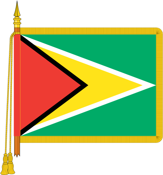 Guyana National Flagwith Fringe PNG