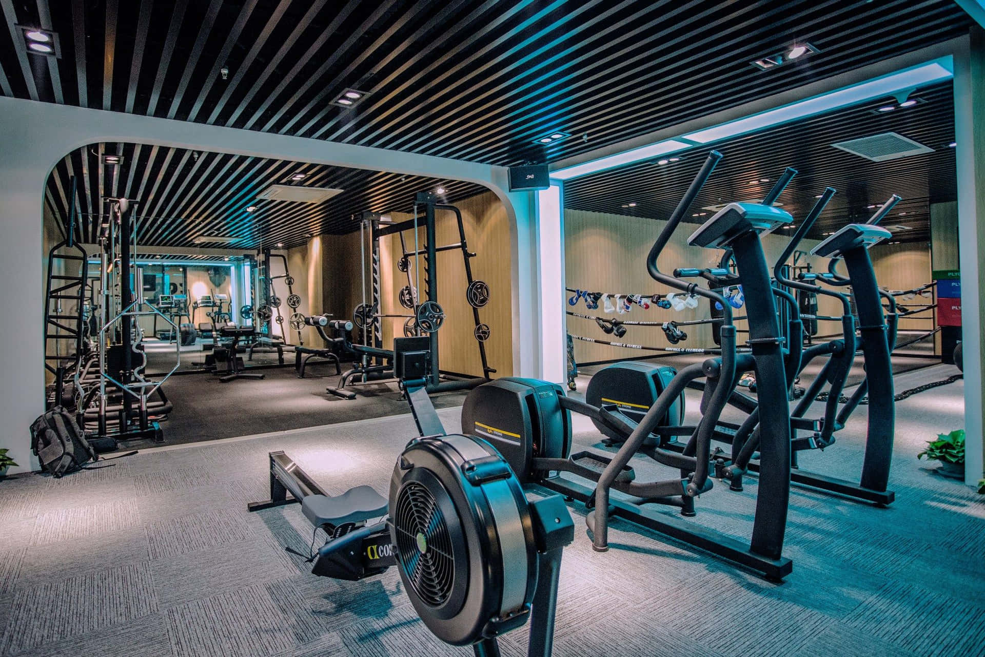 Achieve Your Fitness Goals with a Right Gym