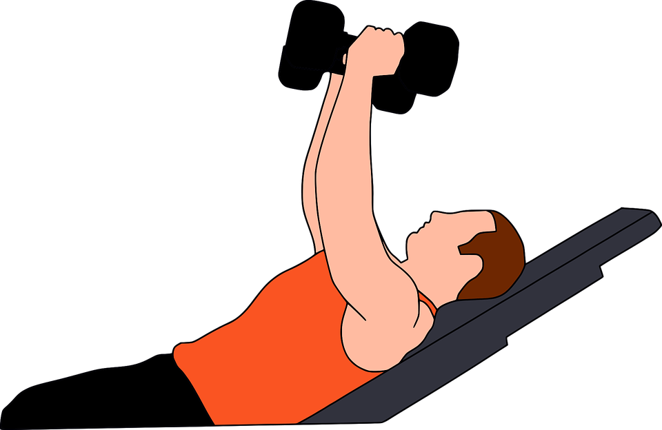 Gym Weightlifting Exercise Clipart PNG