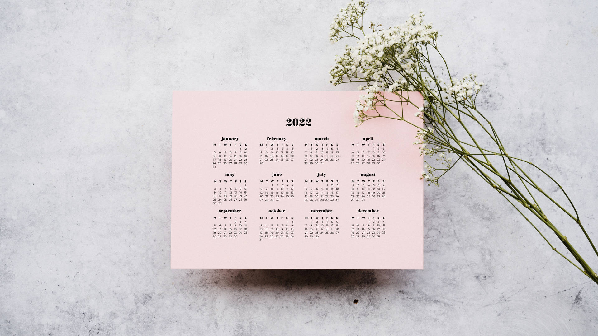 Gypsophila 2022 Calendar Wallpaper