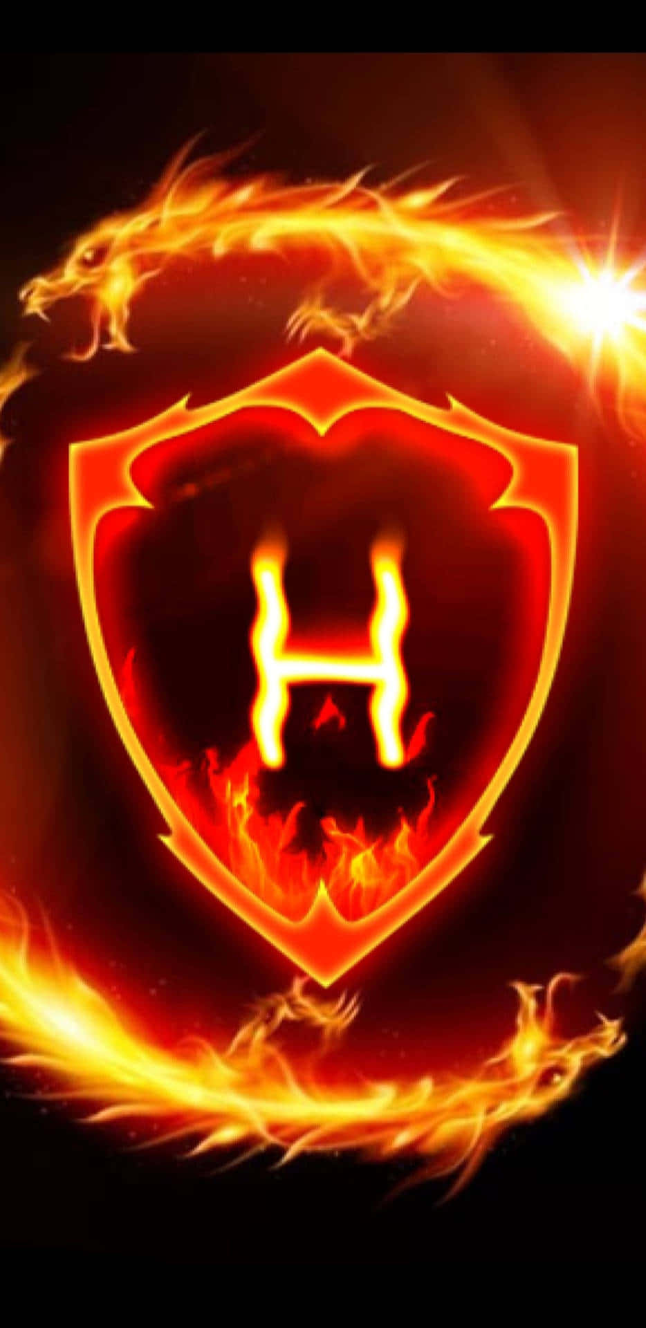 Fire Dragon Yellow H Background