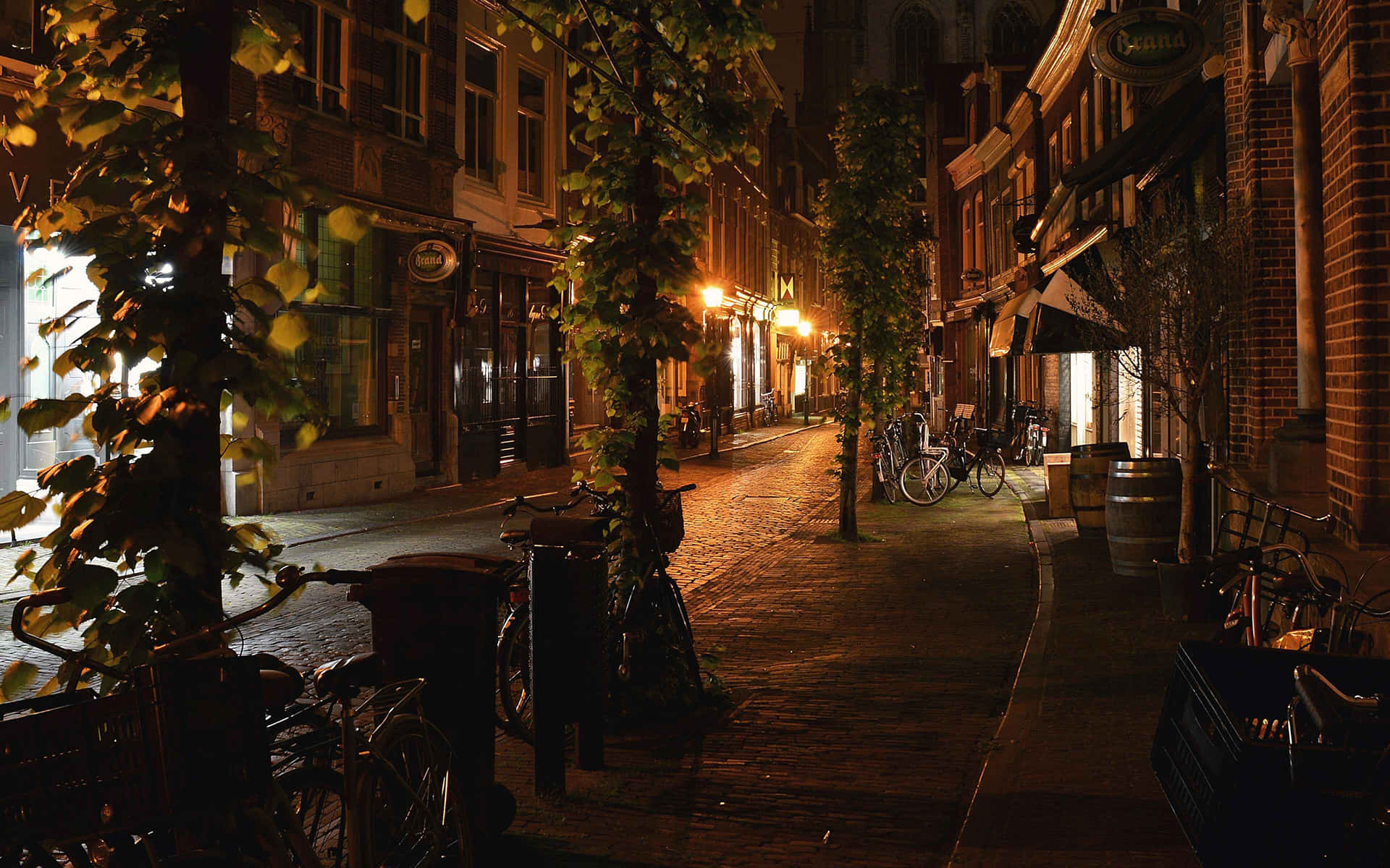 Haarlem Netherlands Night Street Scene Wallpaper