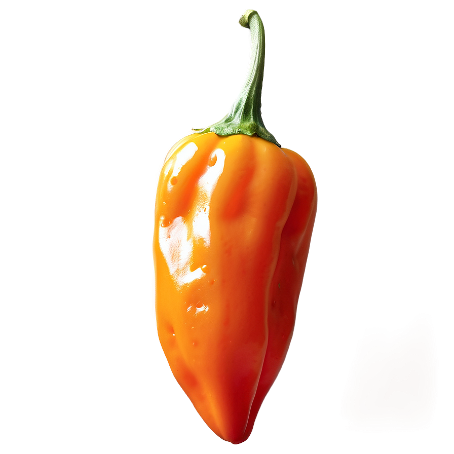 Download Habanero Pepper Png 92 | Wallpapers.com