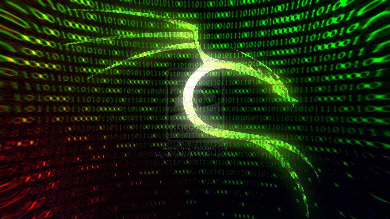 Hacker Kali Linux Binary Codes
