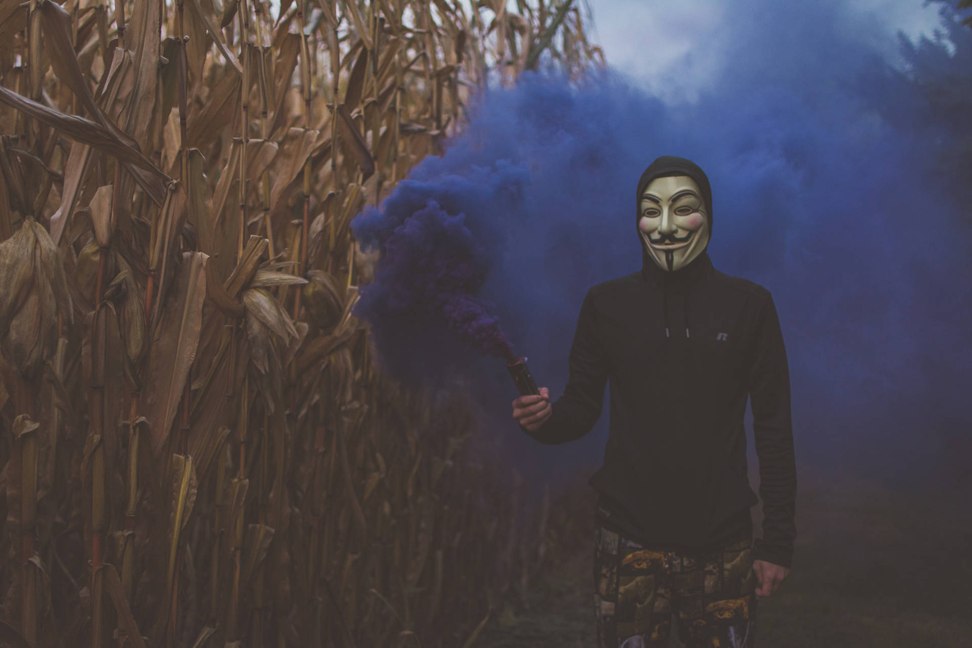 Hacker Mask In The Tall Grass