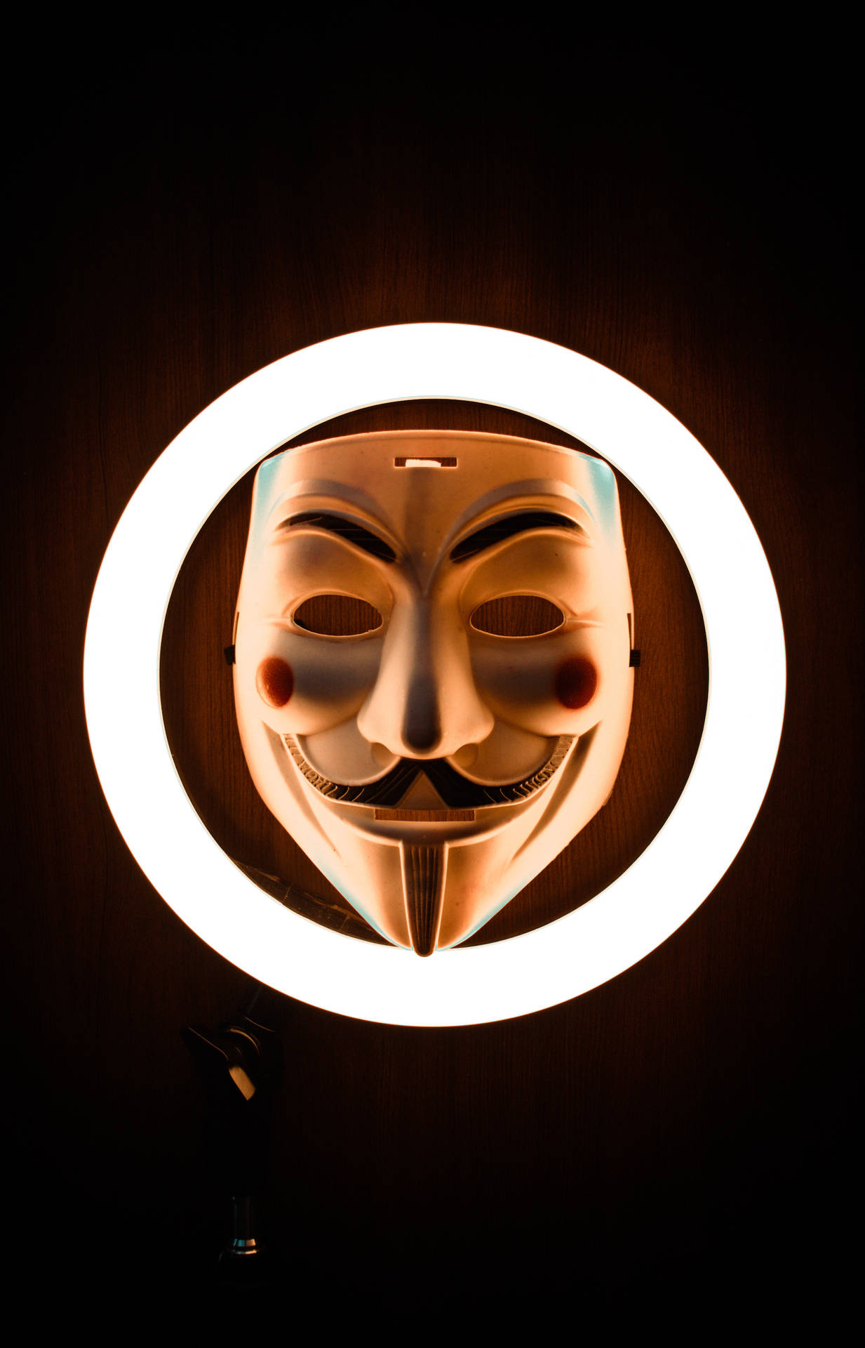 Hacker Mask With Ring Light