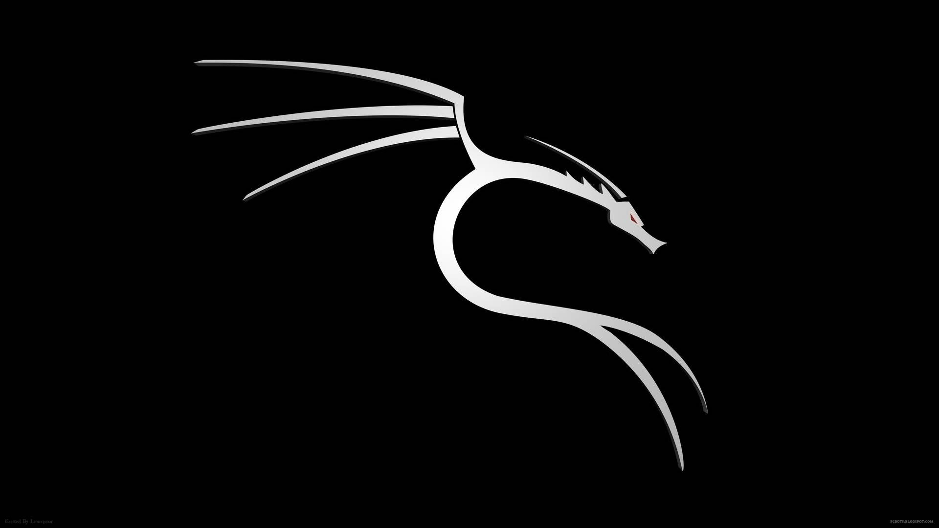 Hacker White Kali Linux In Black