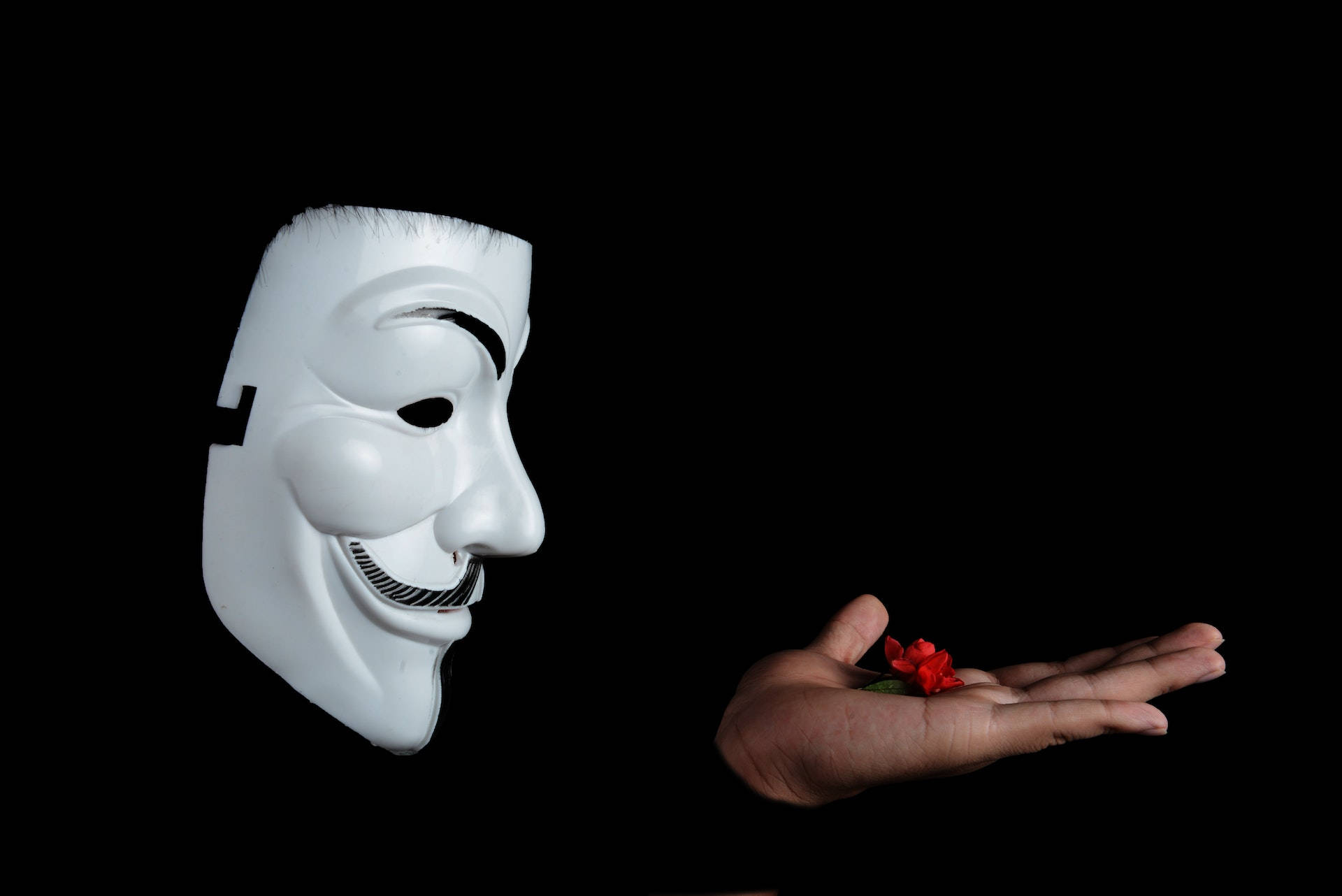 Hacker With Flower On Hand 3d Wallpaper