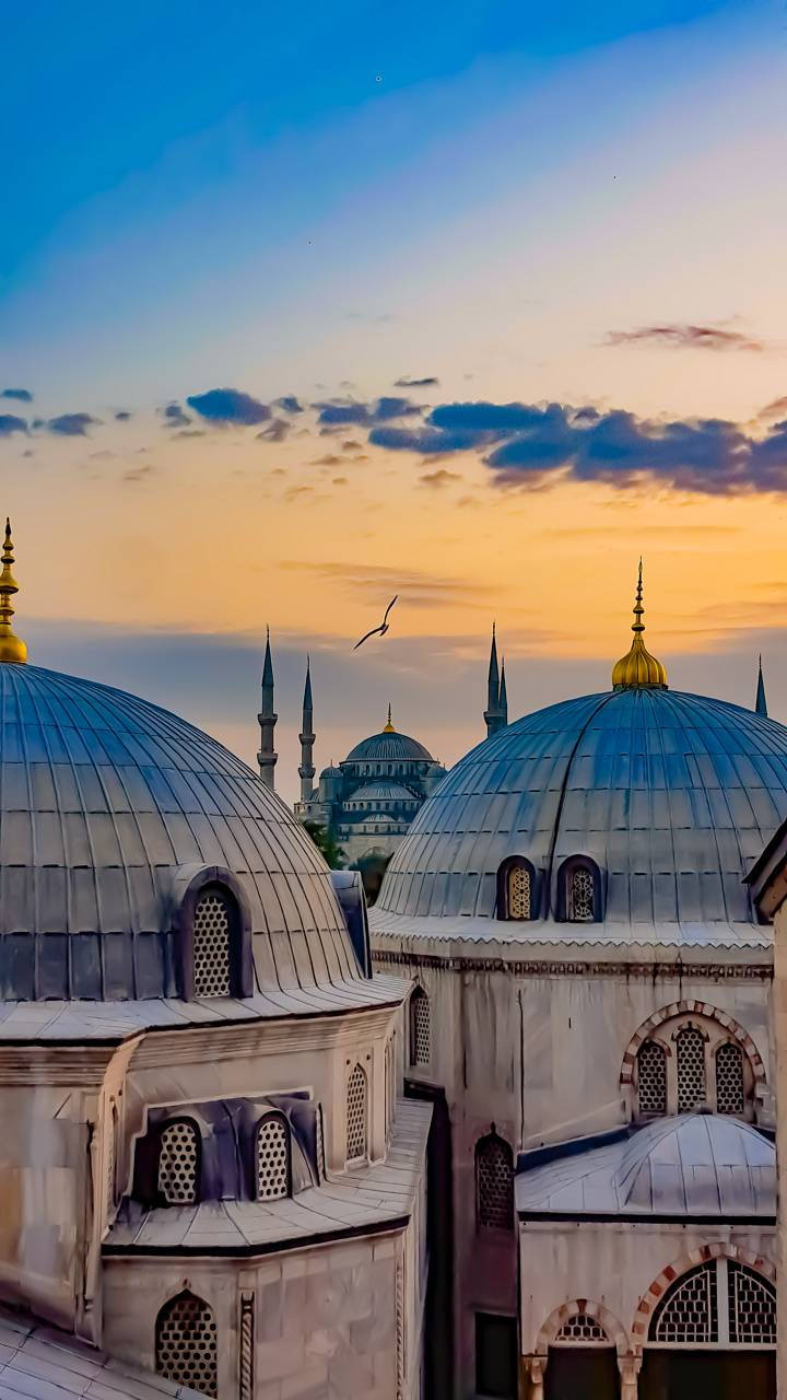 Hagia Sophia Domes Background