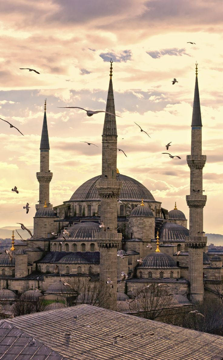 Hagia Sophia Spires And Birds Background