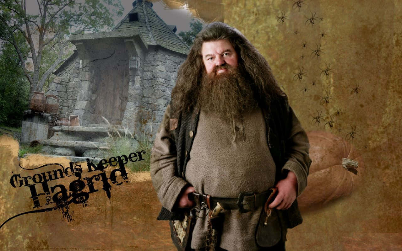 Hagrid's magical hut nestled in the lush Hogwarts grounds. Wallpaper