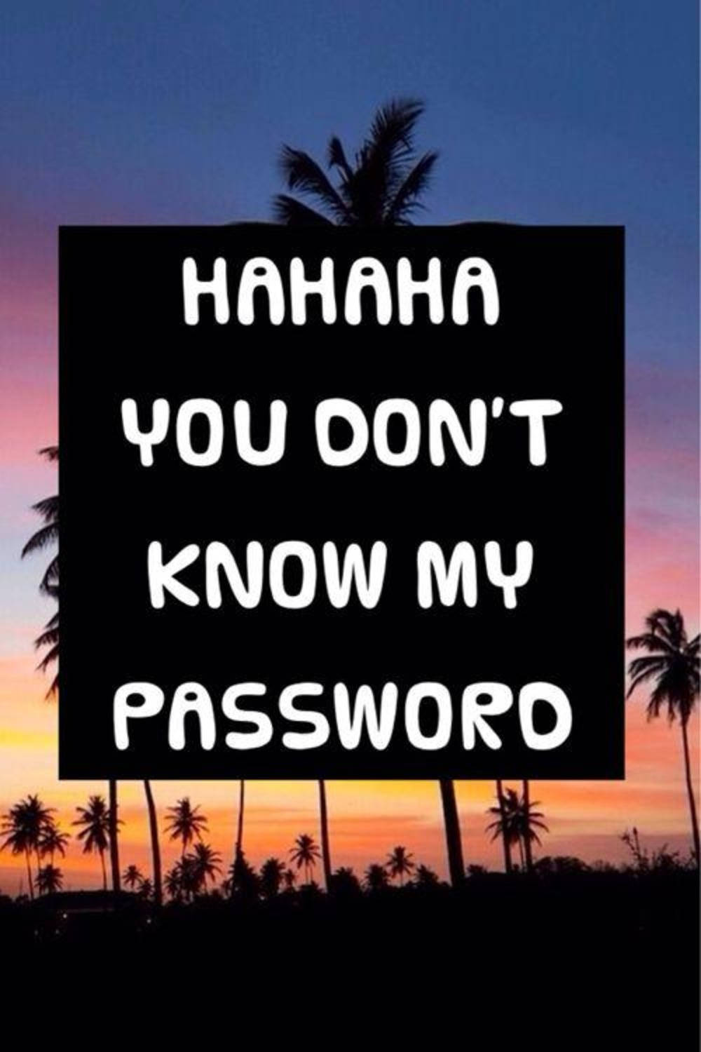 Download Hahaha You Dont Know My Password Wallpaper 