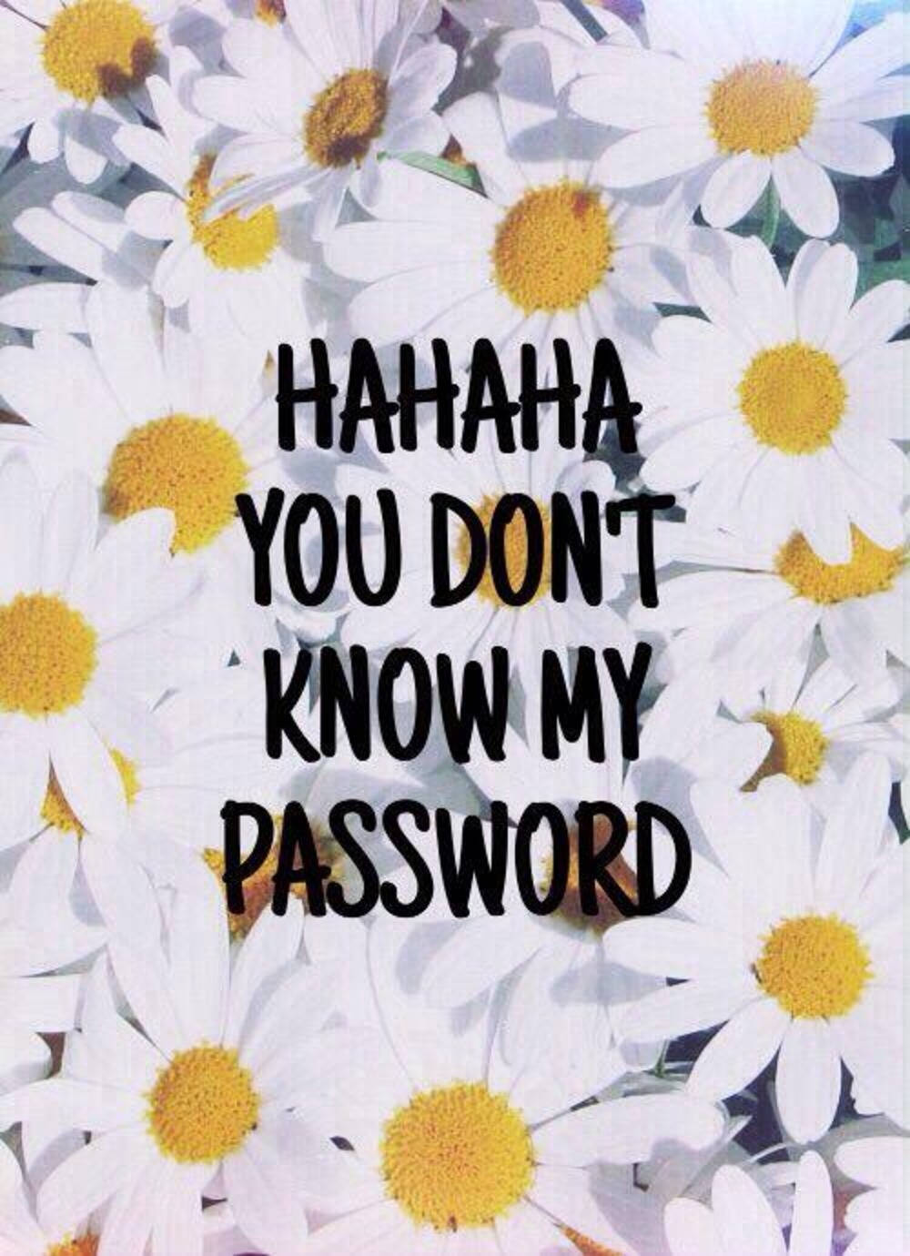 Hahaha,du Känner Inte Mitt Lösenord. Wallpaper