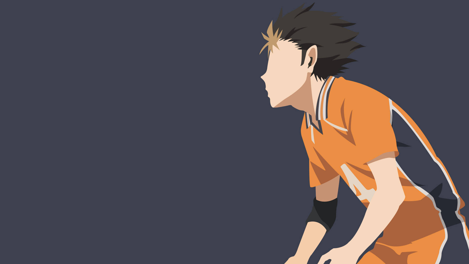 Haikyuu 4k Hinata Volleyball Side-angle Background