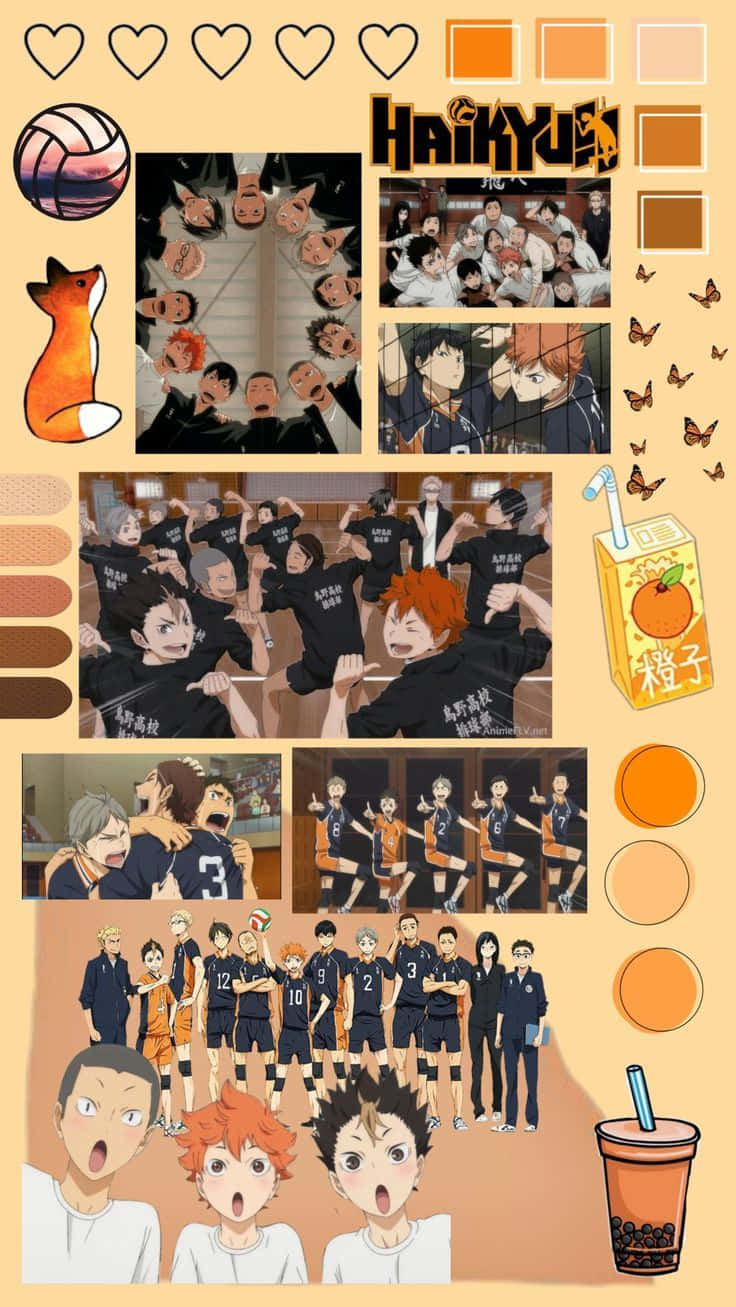 Haikyuu Anime Haikyuu Team Wallpaper