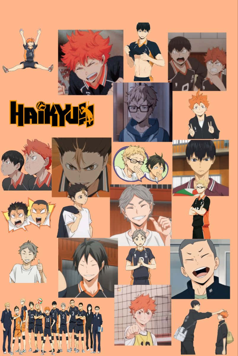 Haikyuu Anime Mixed Character Wallpaper