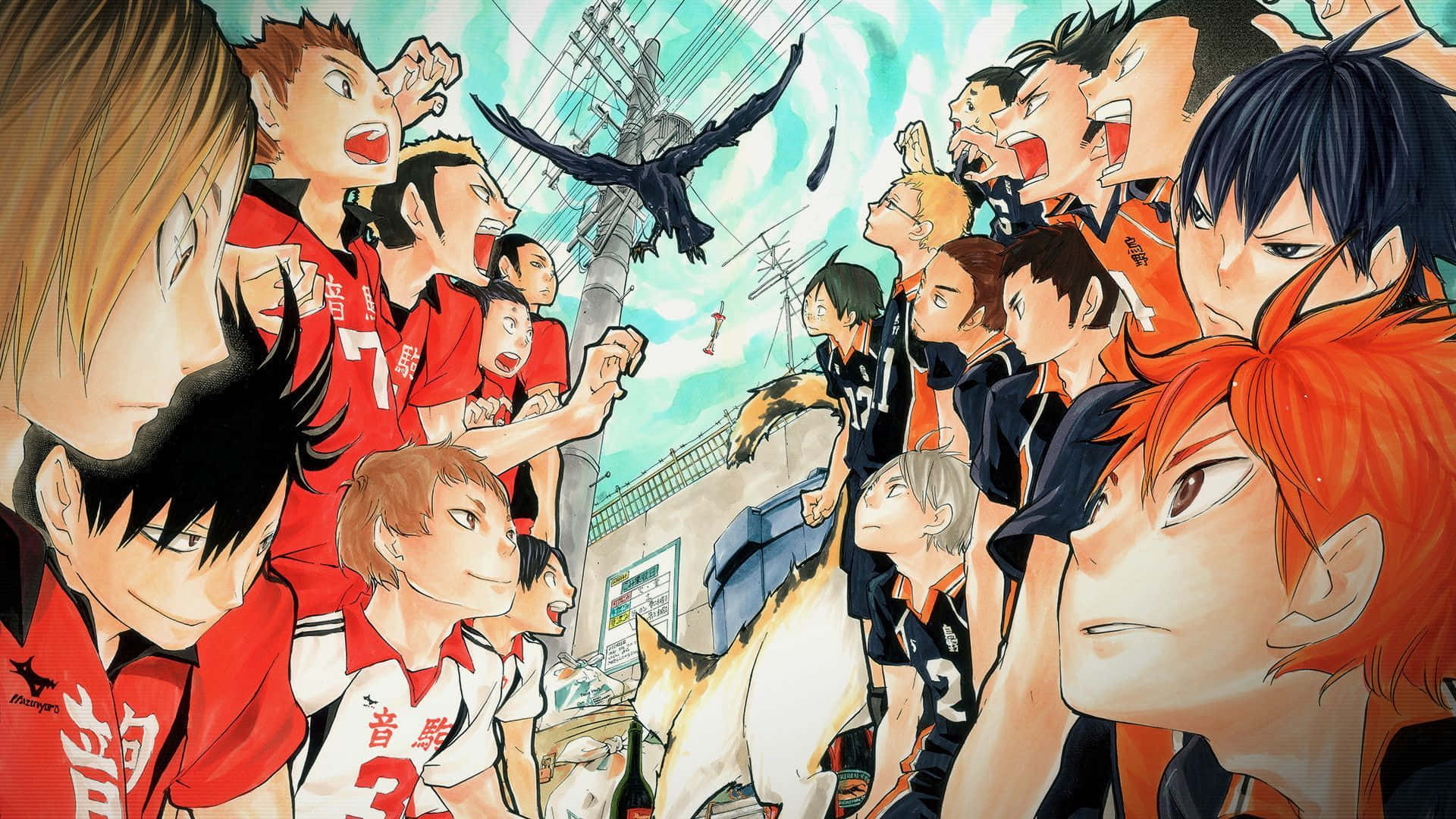 The Determined Faces of Haikyuu Captains Wallpaper