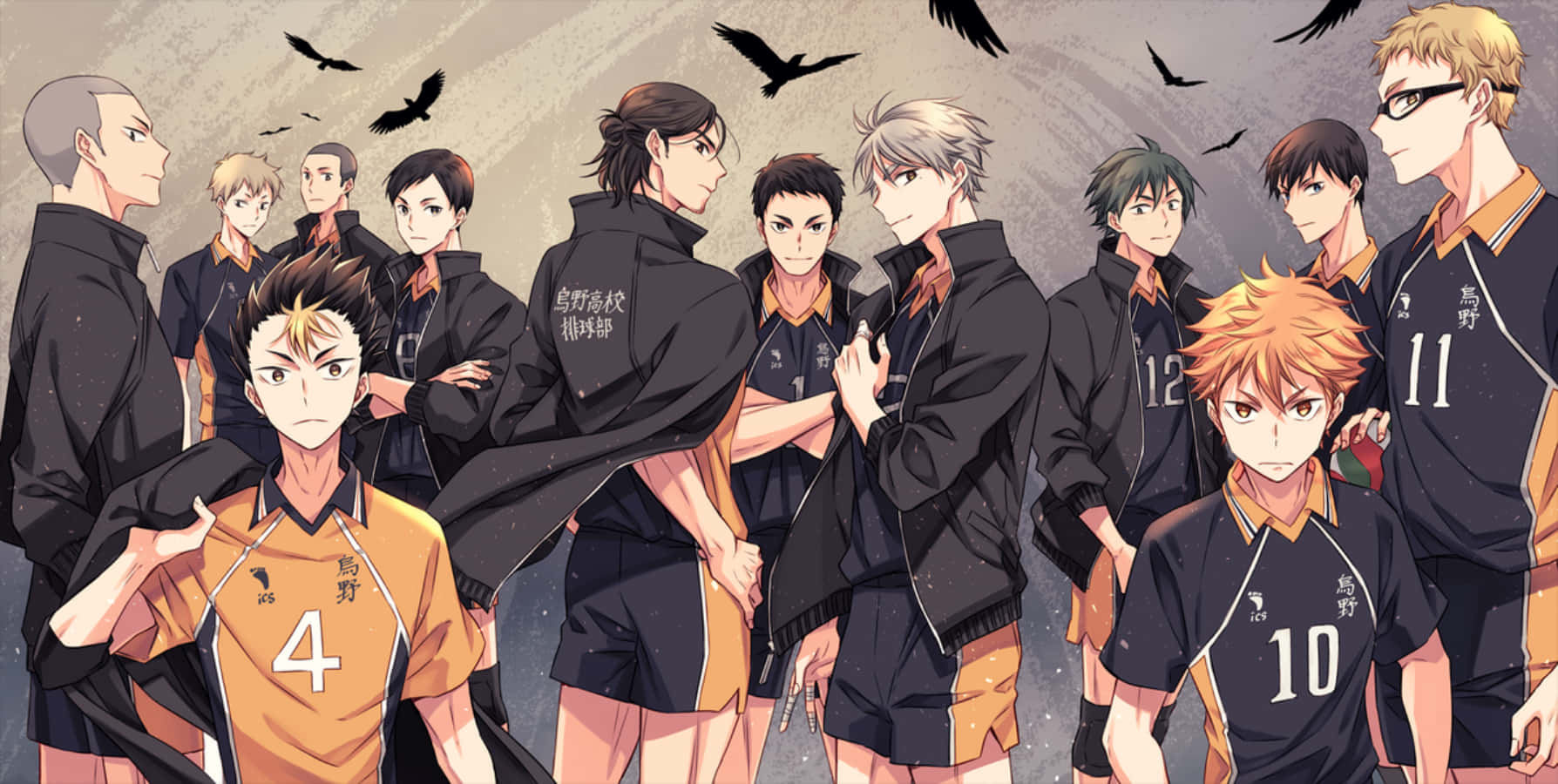 Haikyuushoyo Hinata Volleyball Team Bild