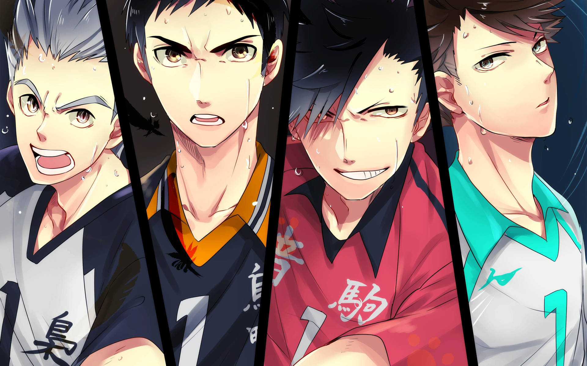 Haikyuu Rival Teams Desktop Achtergrond