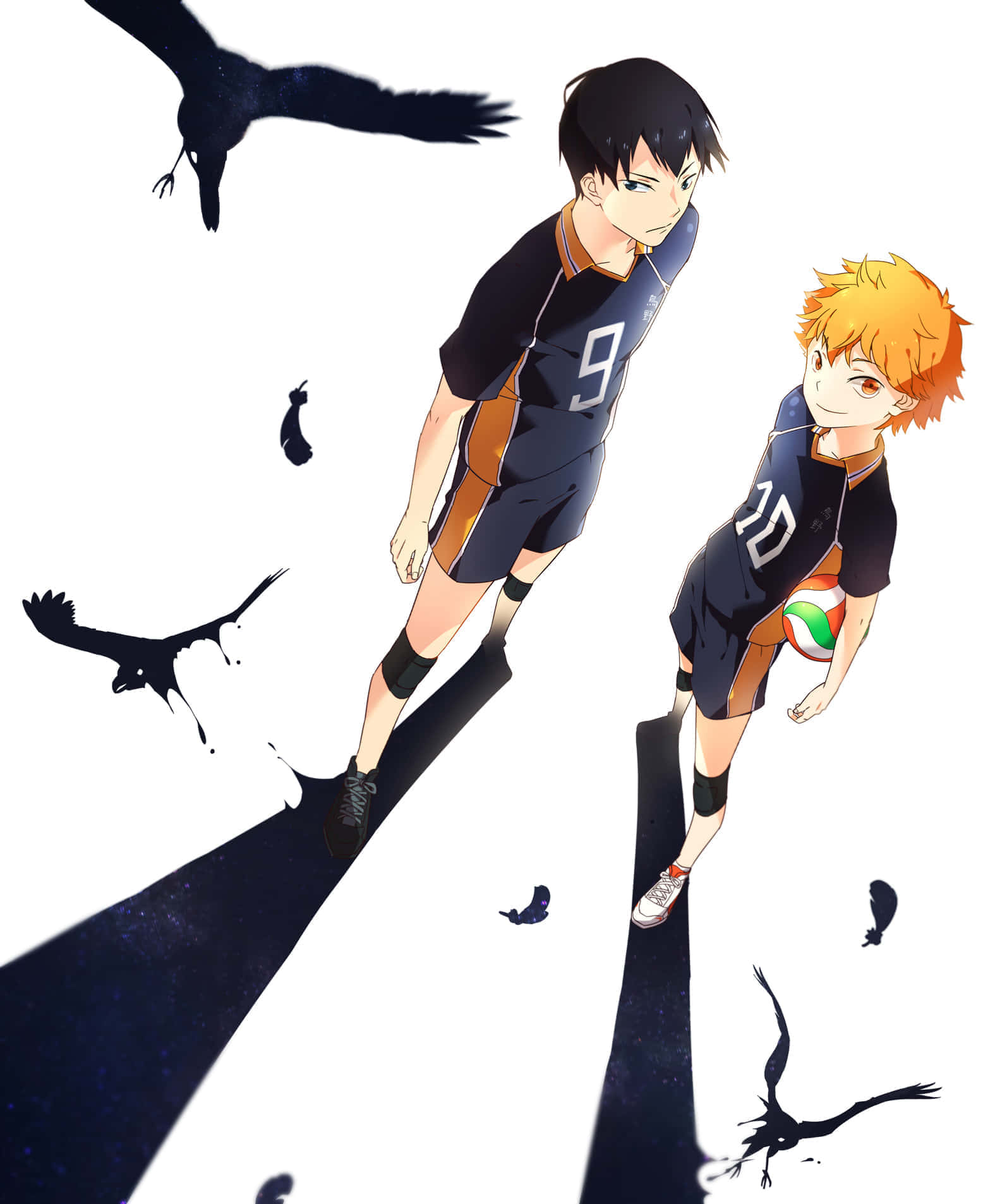 Haikyuu_ Shadows_and_ Crows_ Anime_ Artwork Wallpaper