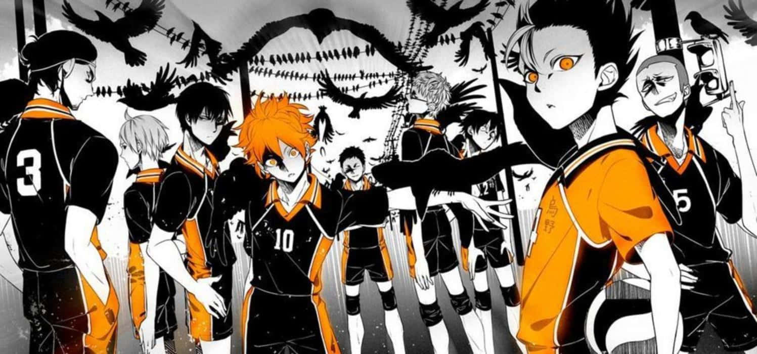 Haikyuu Team Orange Black Uniforms Wallpaper