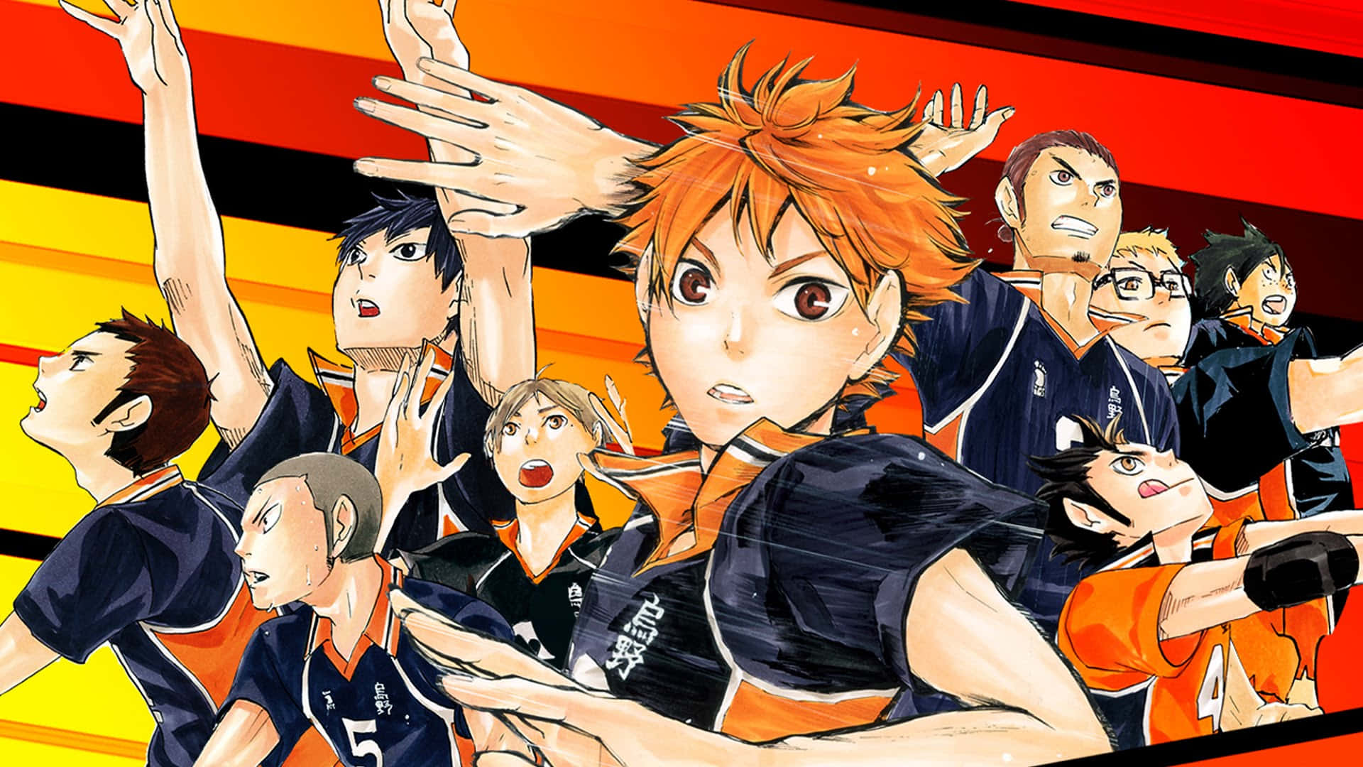 Haikyuu Team Spirit Volleyball Anime Wallpaper