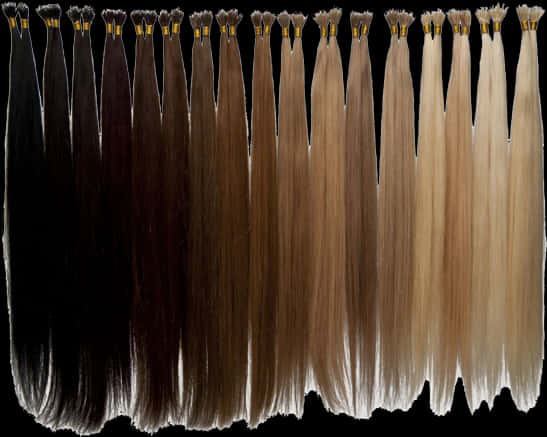 Hair Extensions Color Chart PNG