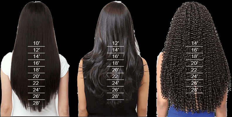 Hair Length Comparison Chart PNG