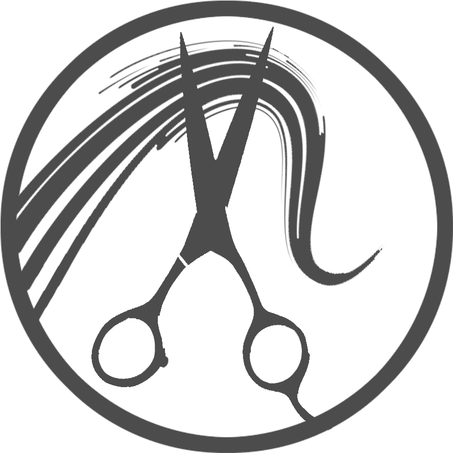 Hair Styling Tools Icon PNG