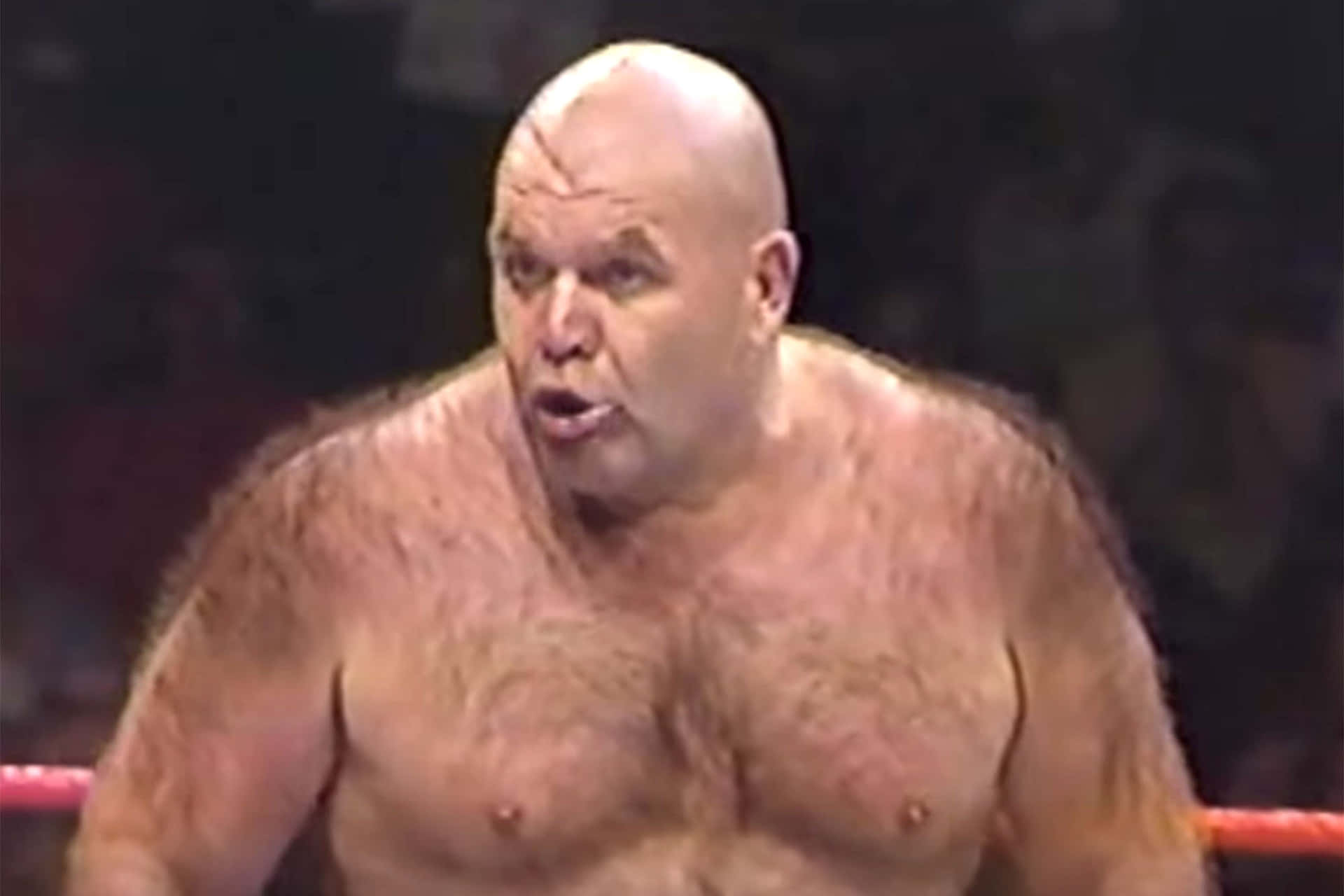 Hairy Physique Of George Steele Wallpaper