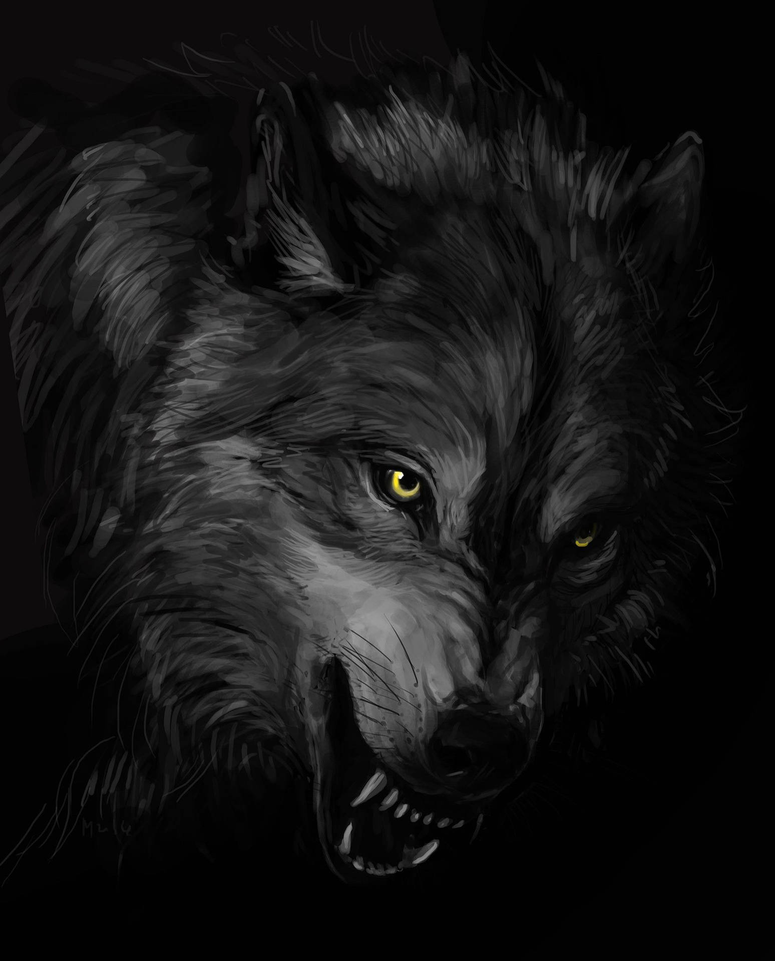 Hairy White And Black Wolf Wallpaper