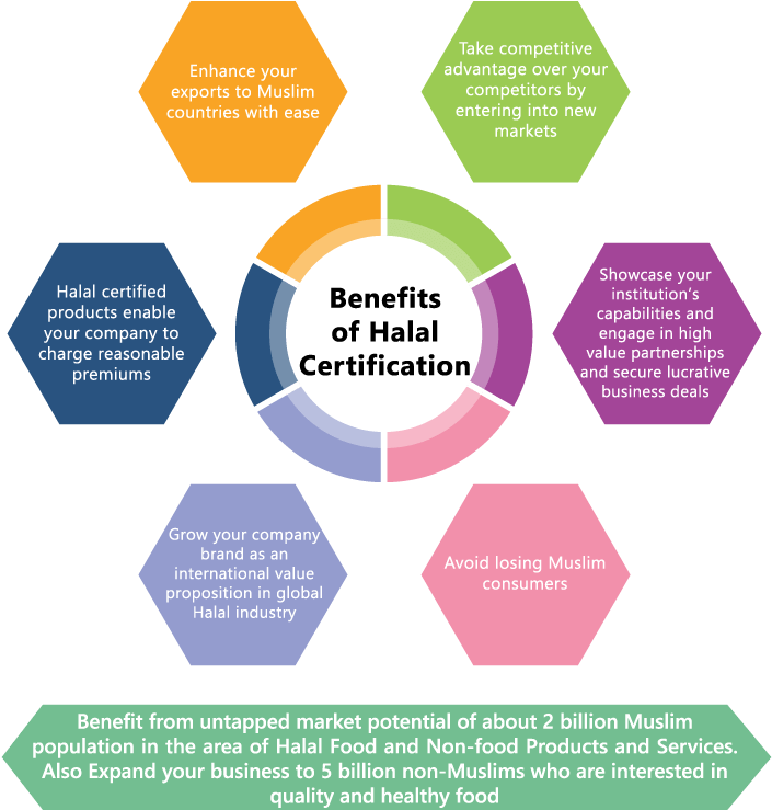 Halal Certification Benefits Infographic PNG