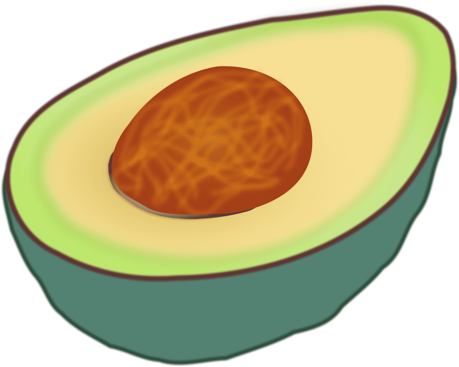 Half Avocado Illustration PNG