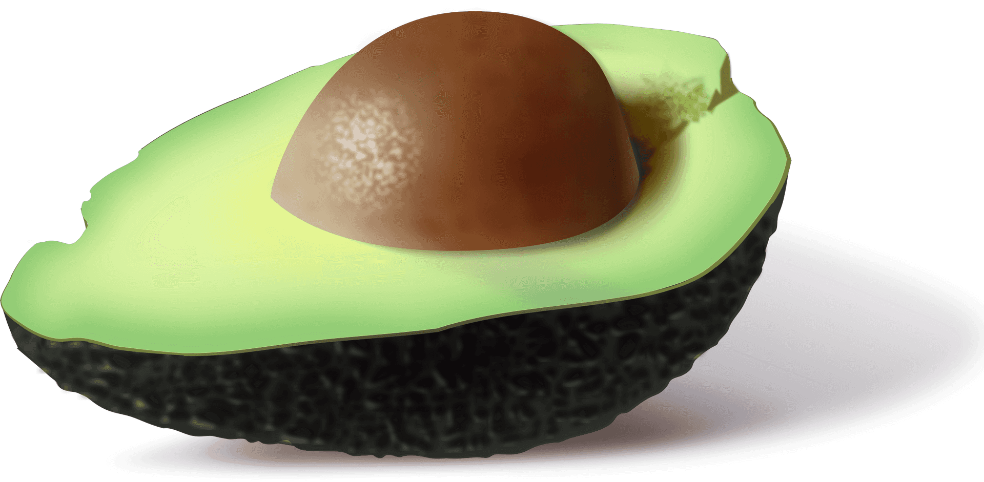 Half Avocadowith Pit PNG