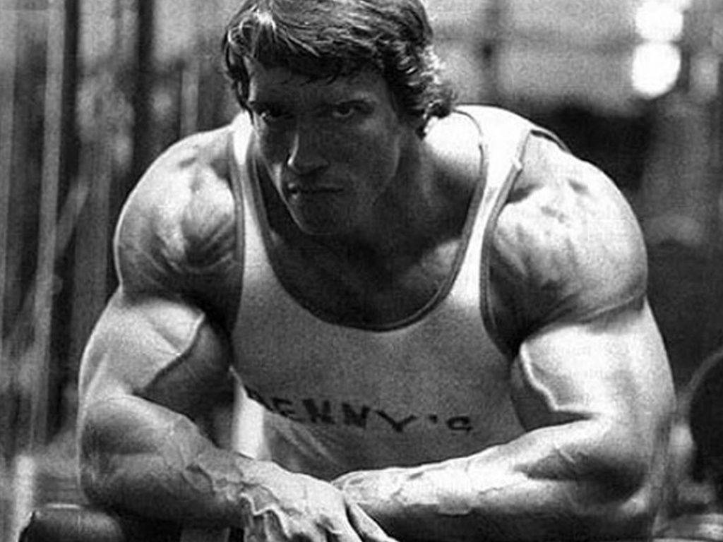 Half Body Arnold Schwarzenegger