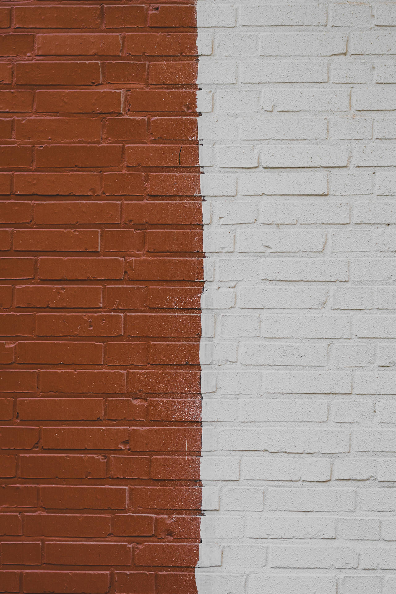 An eye-catching half white and half brown brick wall Wallpaper