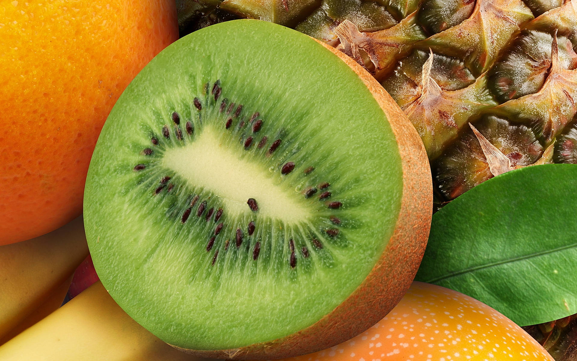 Half Kiwi Fruits Wallpaper